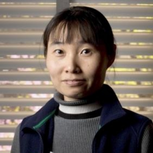 Prof. Jing Kong